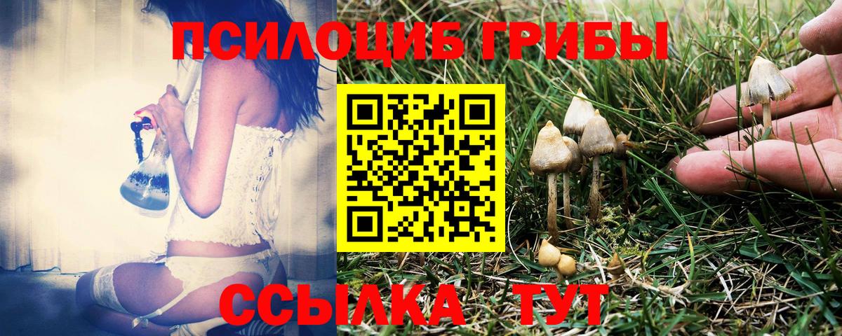Псилоцибиновые грибы мицелий Ижевск