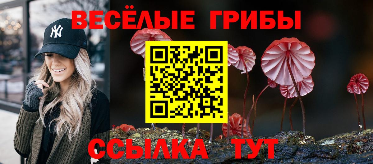 Галлюциногенные грибы MAGIC MUSHROOMS  Вход с VPN  Ижевск 
